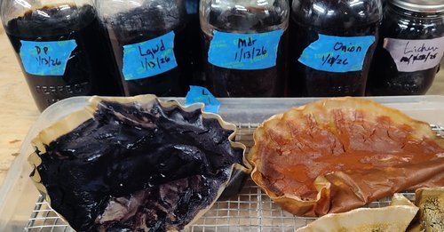Plant and Mushroom Dyes and Lake Pigments